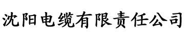 涩涩传媒电缆厂logo